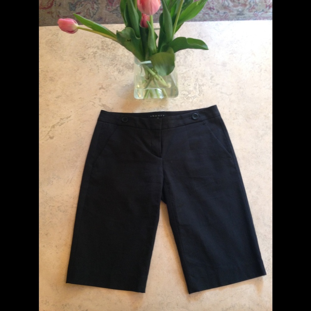 Theory Shorts